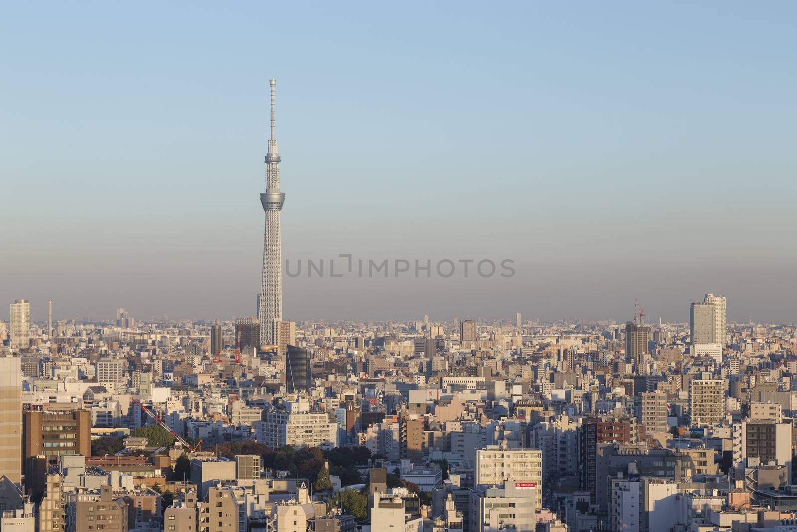 This photo was shot from Tokyo city which is the capital city of Japan. Tokyo is one of the big and busy city in the world but aslo the most beautiful. The japanese also nice.