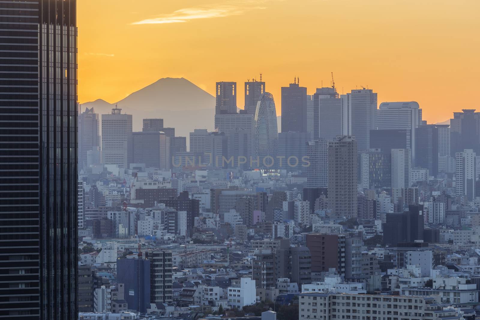 This photo was shot from Tokyo city which is the capital city of Japan. Tokyo is one of the big and busy city in the world but aslo the most beautiful. The japanese also nice.