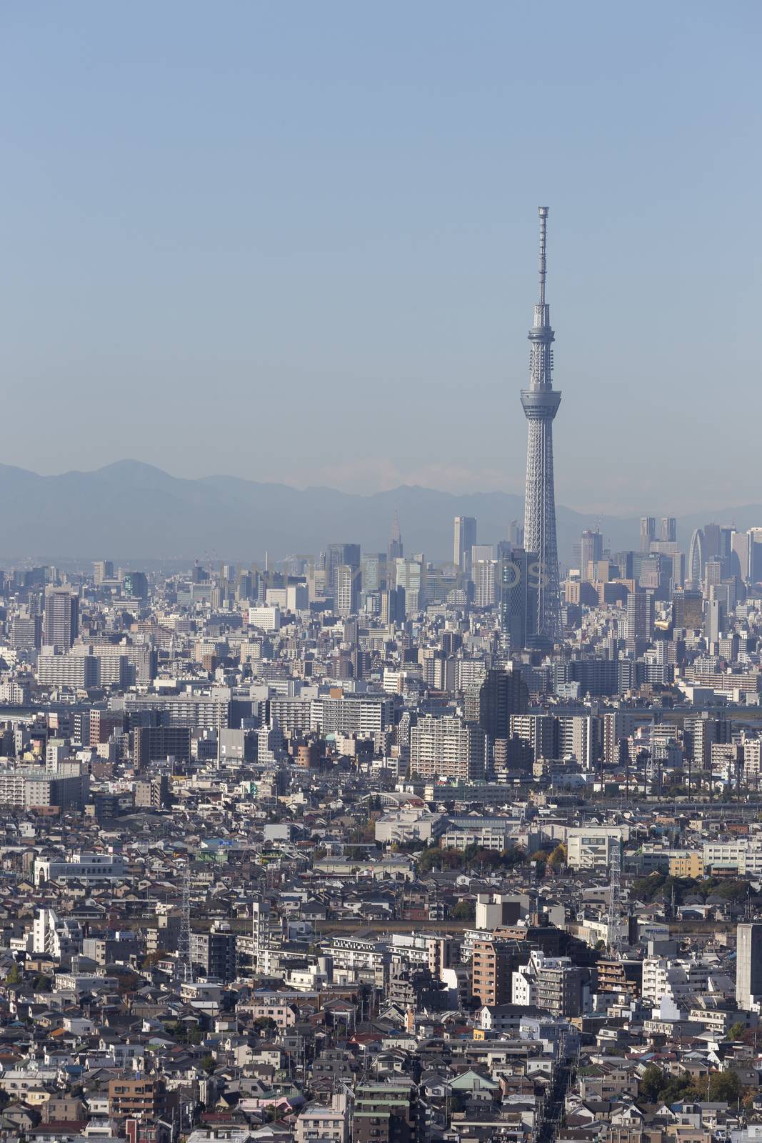 This photo was shot from Tokyo city which is the capital city of Japan. Tokyo is one of the big and busy city in the world but aslo the most beautiful. The japanese also nice.