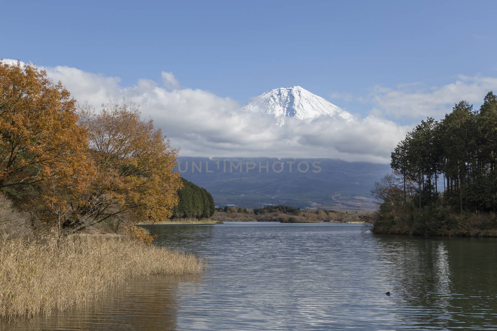 This photo was shot from the area around Mt.Fuji in Autumn. It is time to start snow cap on the top of Mt.Fuji. There are 5 lake around Mt.Fuji.