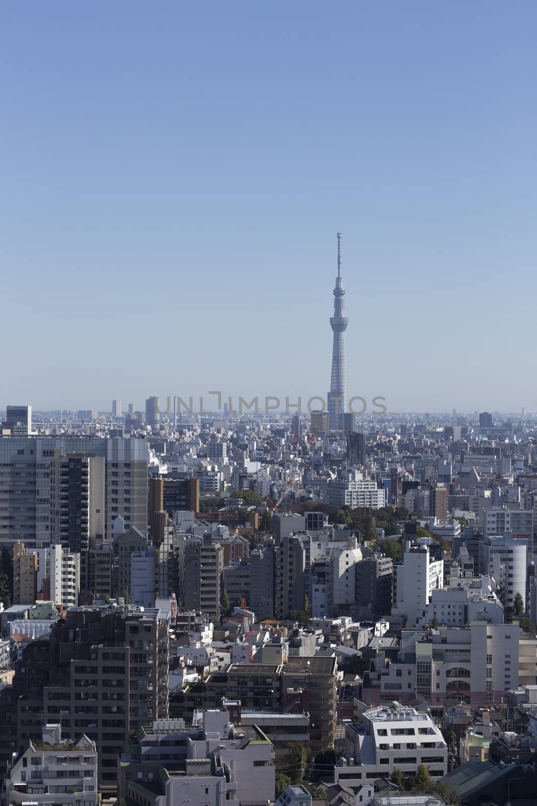 This photo was shot from Tokyo city which is the capital city of Japan. Tokyo is one of the big and busy city in the world but aslo the most beautiful. The japanese also nice.