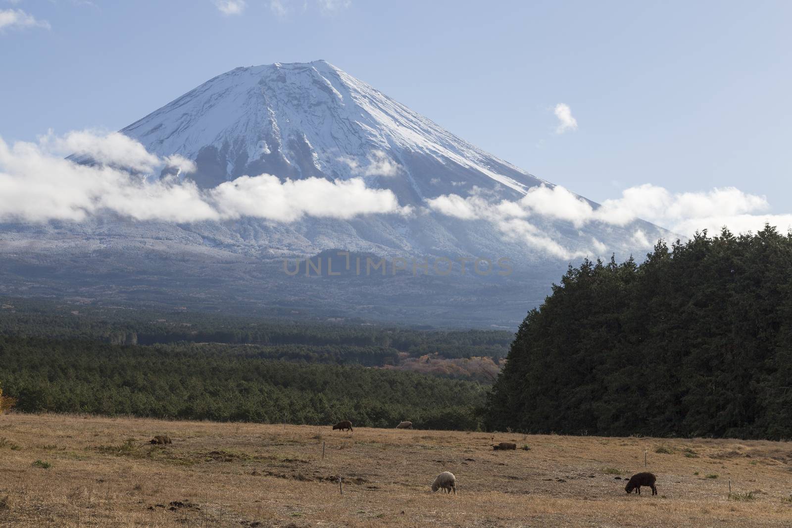This photo was shot from the area around Mt.Fuji in Autumn. It is time to start snow cap on the top of Mt.Fuji. There are 5 lake around Mt.Fuji.