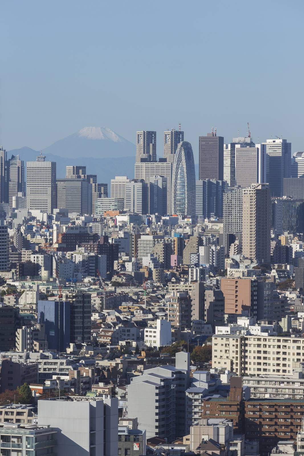 This photo was shot from Tokyo city which is the capital city of Japan. Tokyo is one of the big and busy city in the world but aslo the most beautiful. The japanese also nice.