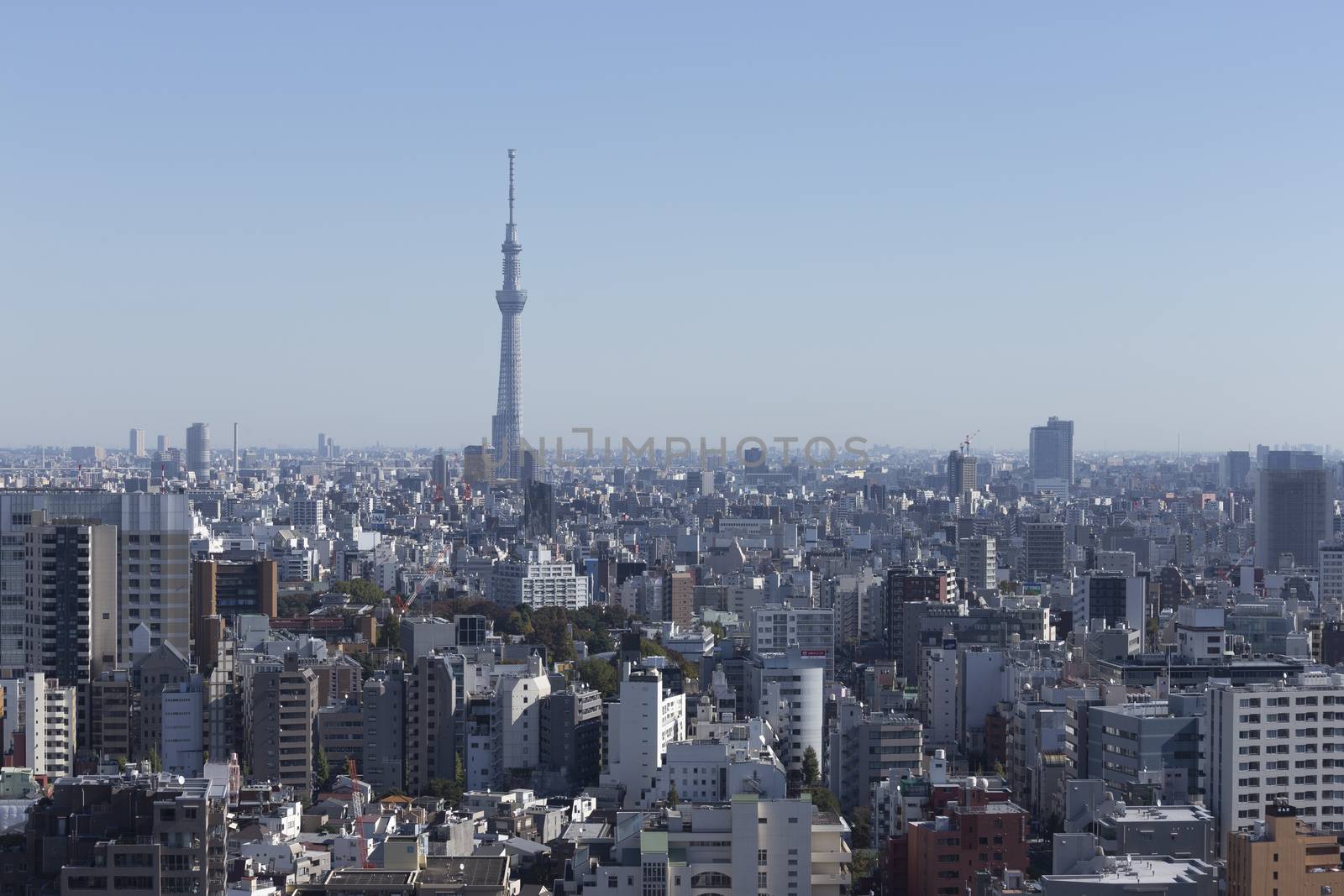 This photo was shot from Tokyo city which is the capital city of Japan. Tokyo is one of the big and busy city in the world but aslo the most beautiful. The japanese also nice.