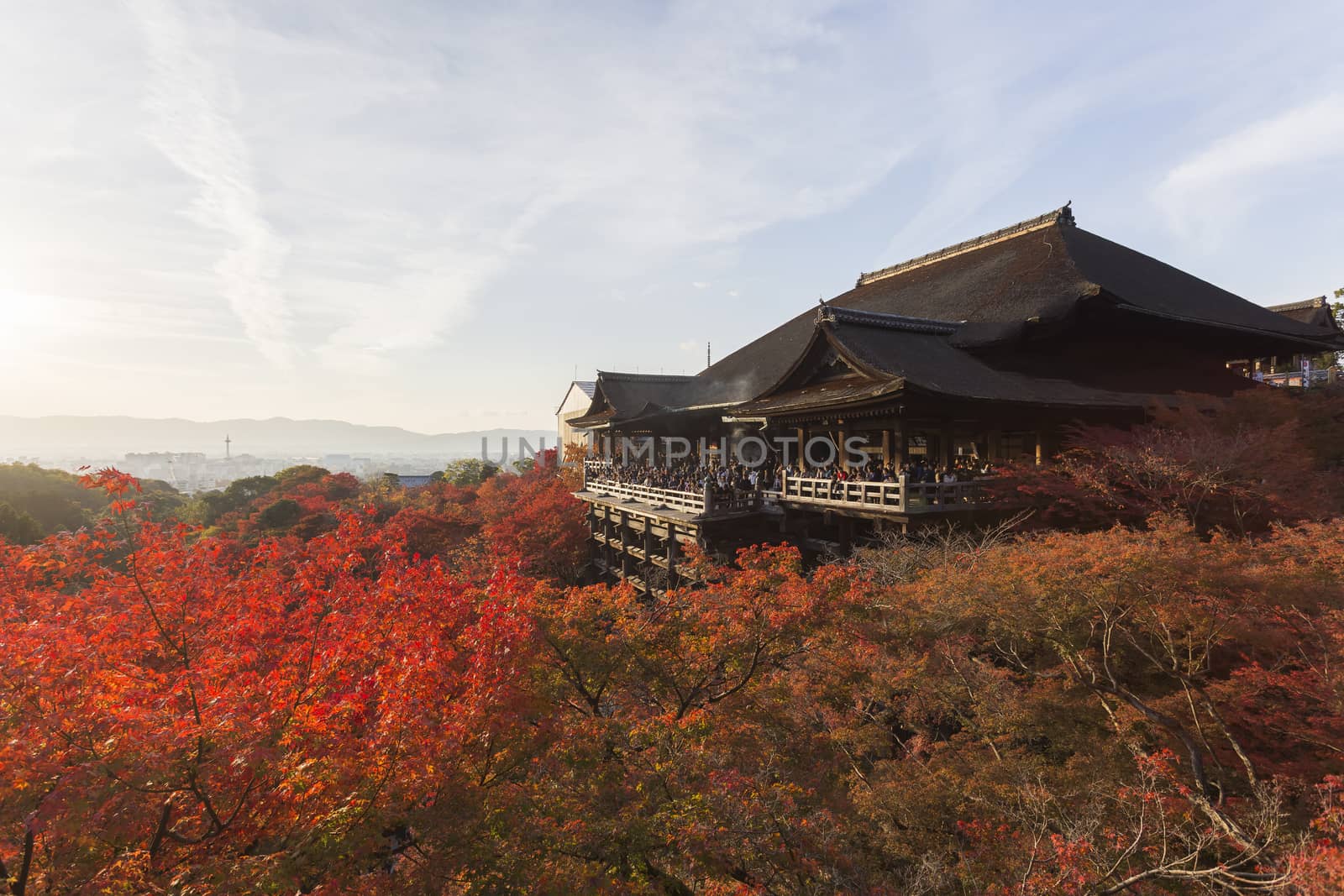 This photo was shot from Kiyomizu Temple in Kyoto, Japan. The maple leaves change to autumn color and the soft sunlight in the evening is so beautiful.