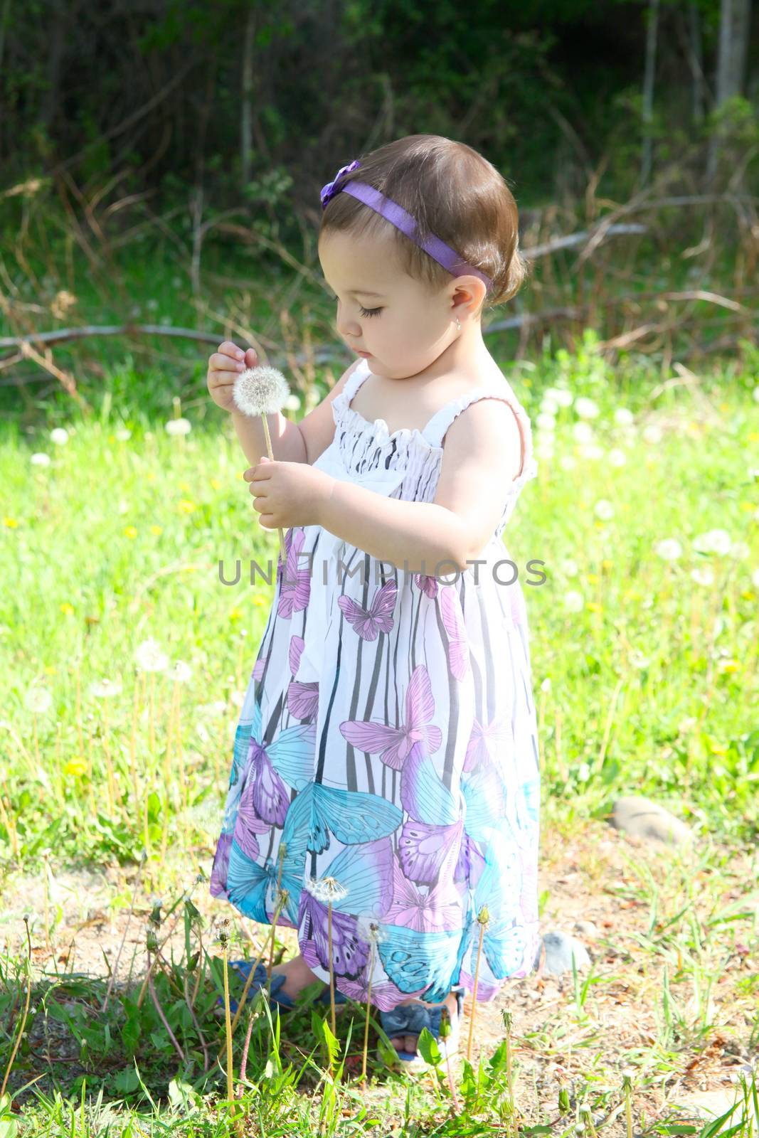 Beautiful brunette toddler girl playing outside in the field