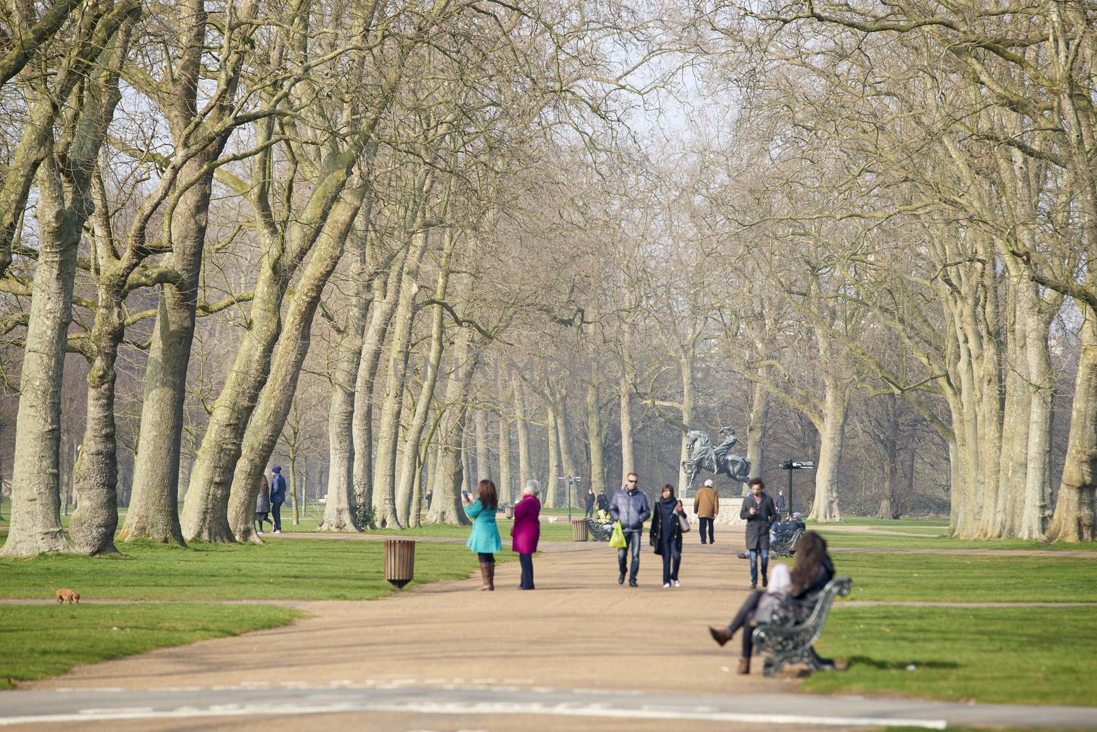 LONDON, UK - MARCH 18: Park visitors walking on park path in sunny day. The road is lined with trees, without leaves. March 18, 2015 in London. 