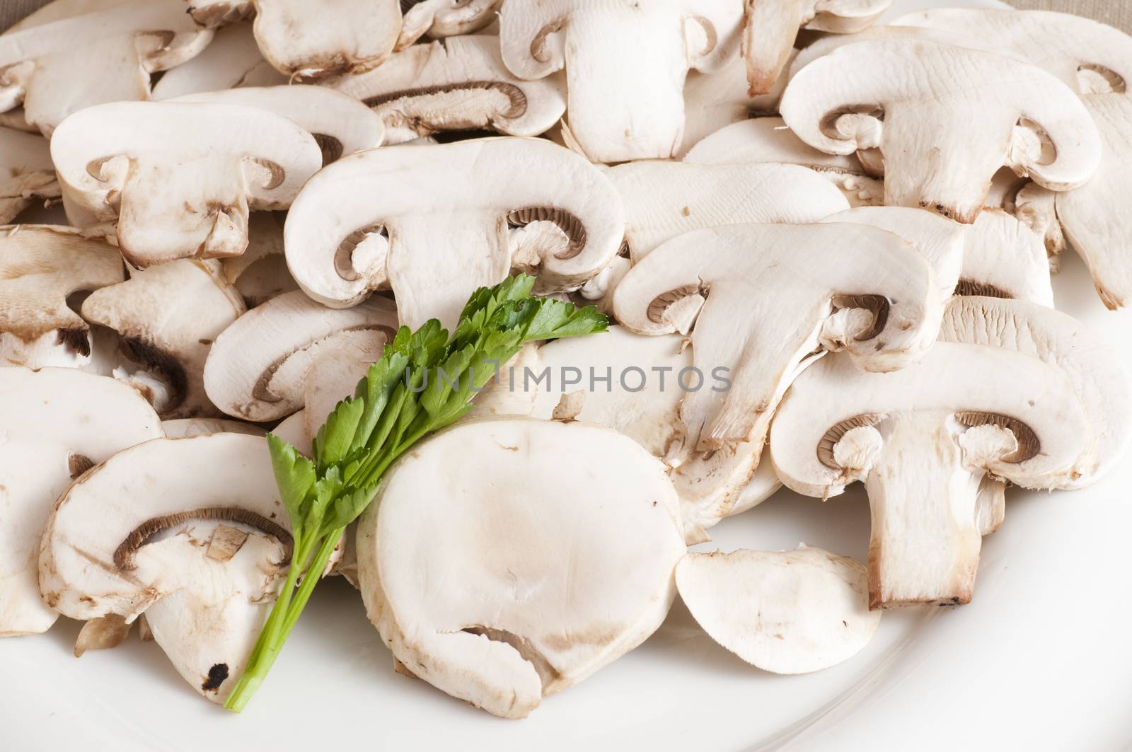 view of porcini mushrooms sliced and served on a white plate