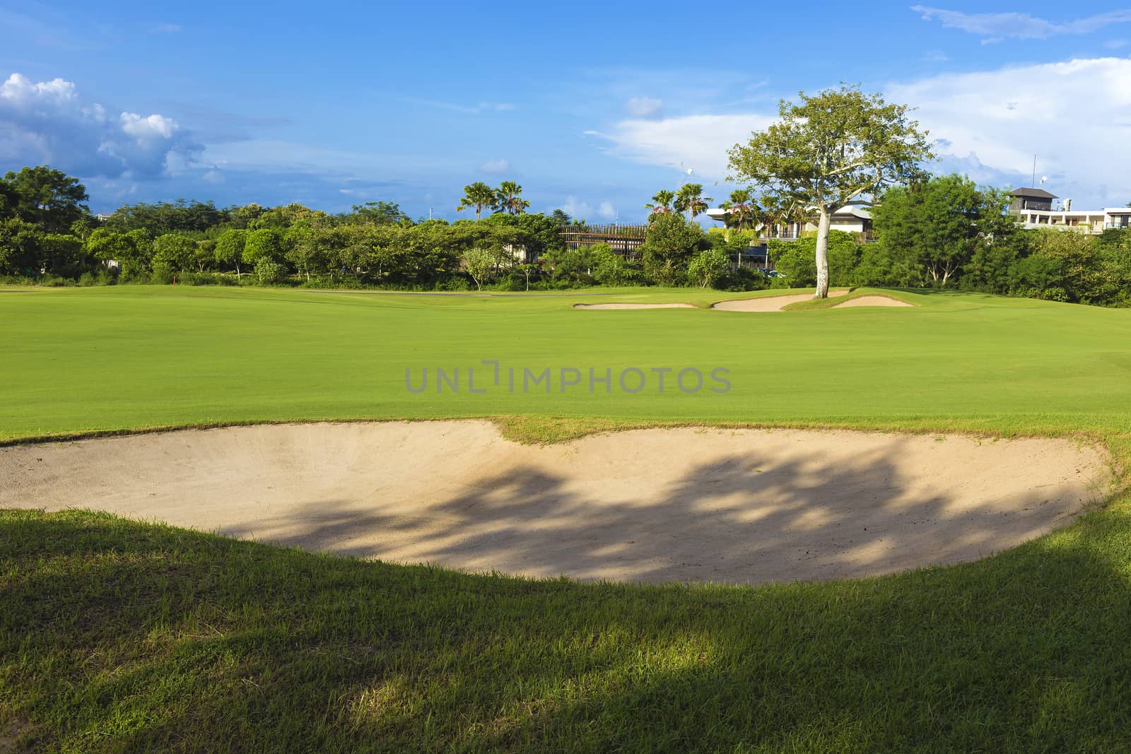 Beautiful View of Green Golf Field by truphoto