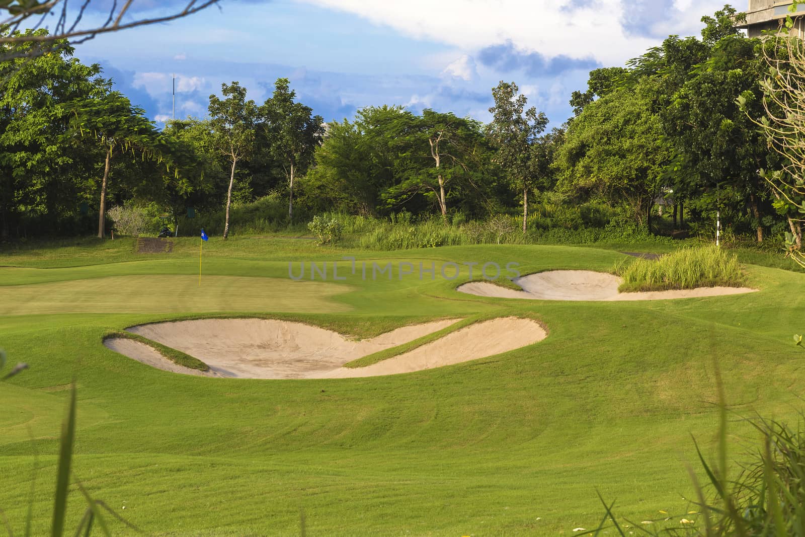 Beautiful View of Green Golf Field with Blue Sky.