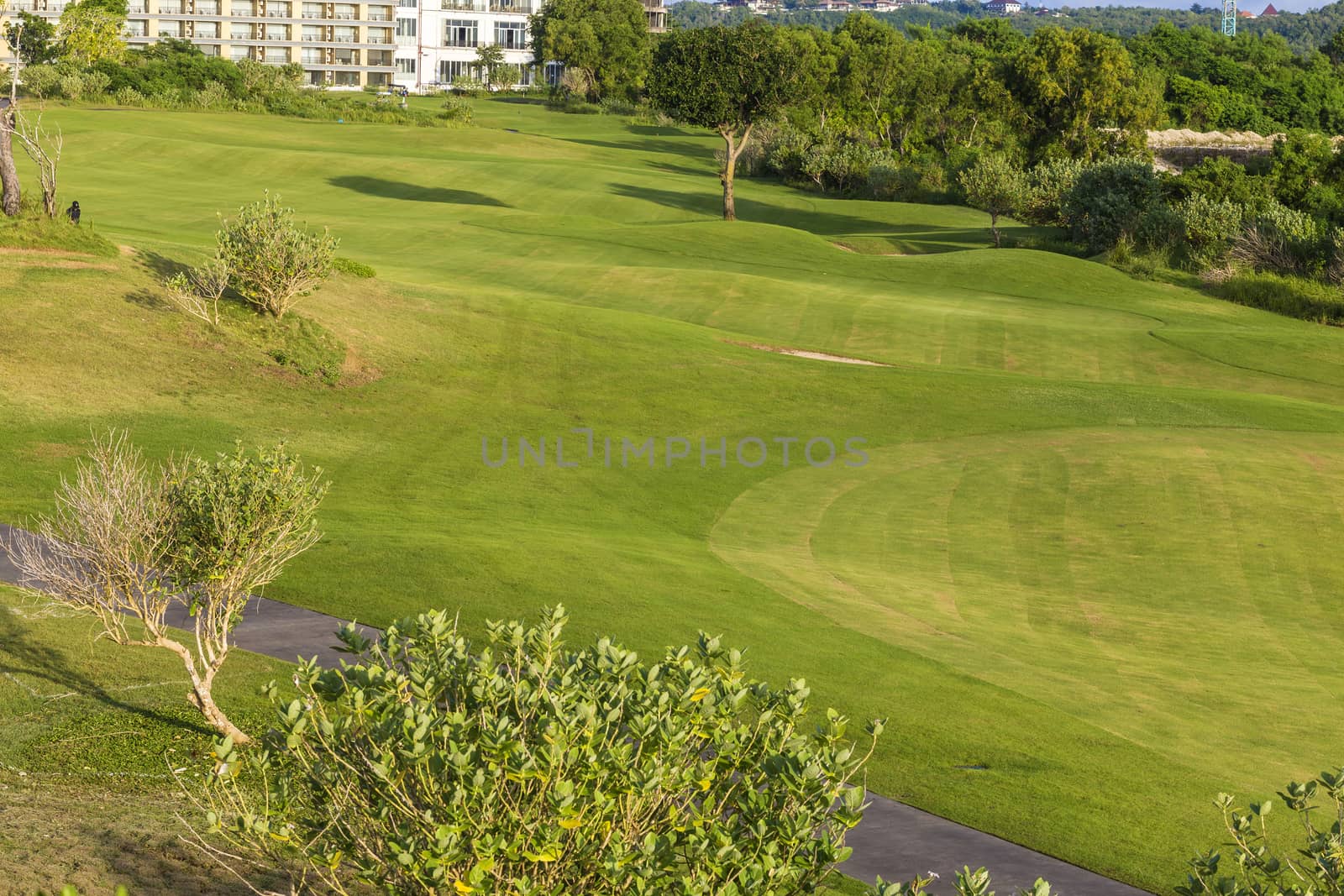 Beautiful View of Green Golf Field with Blue Sky.