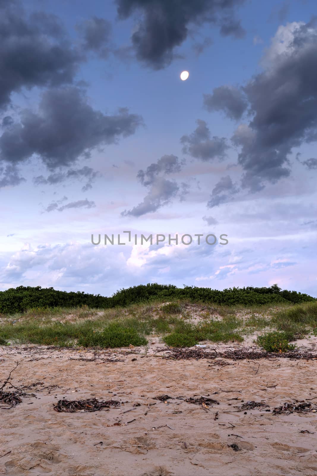 Moon over sand dunes at Bonna Point Botany Bay at dusk.  Simple landscape