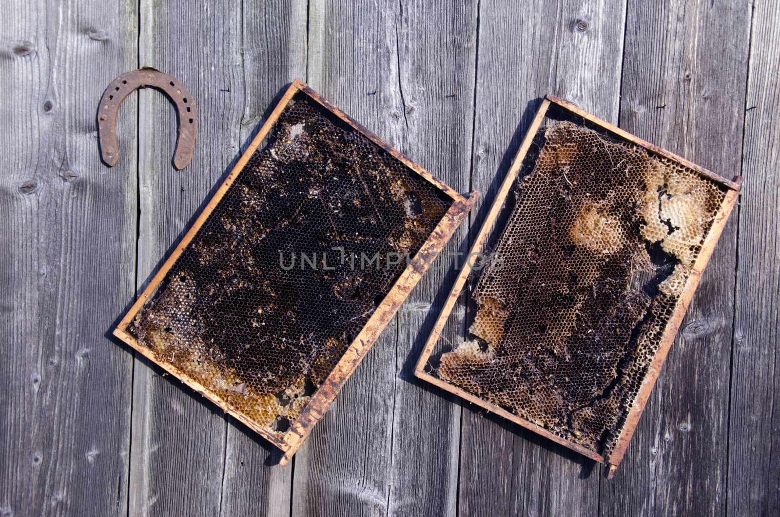 two old honeycomb bee comb and rusty horseshoe on wooden farm wall