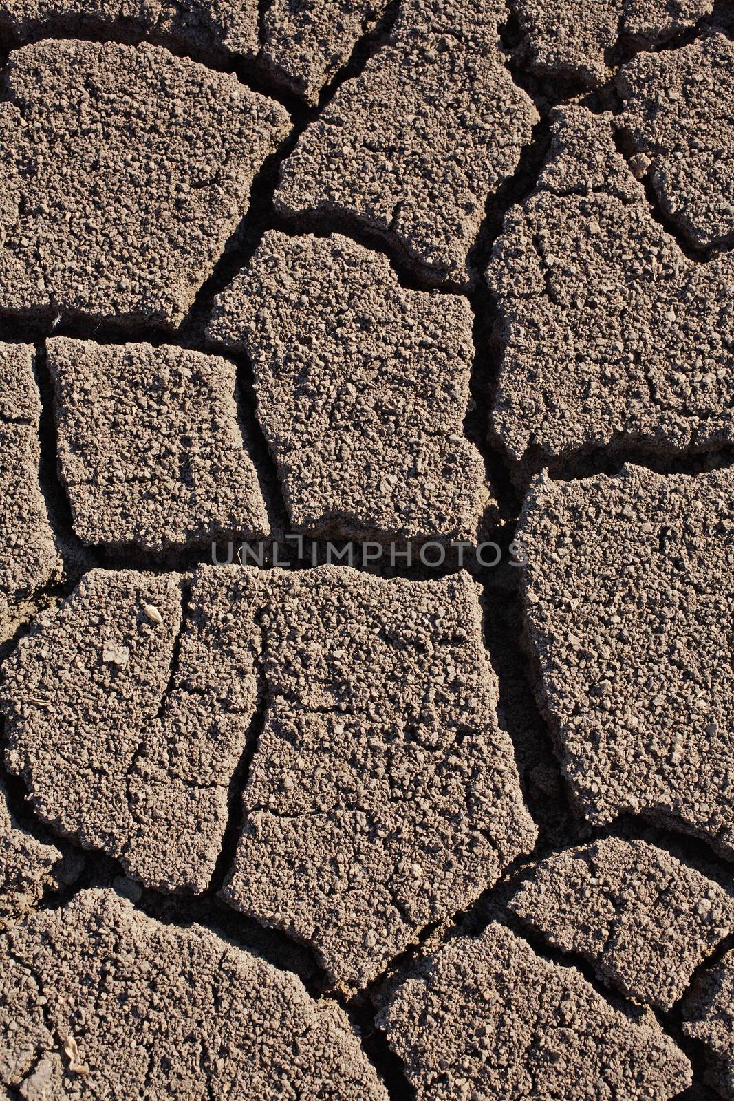 Dried earth. Abstract background texture