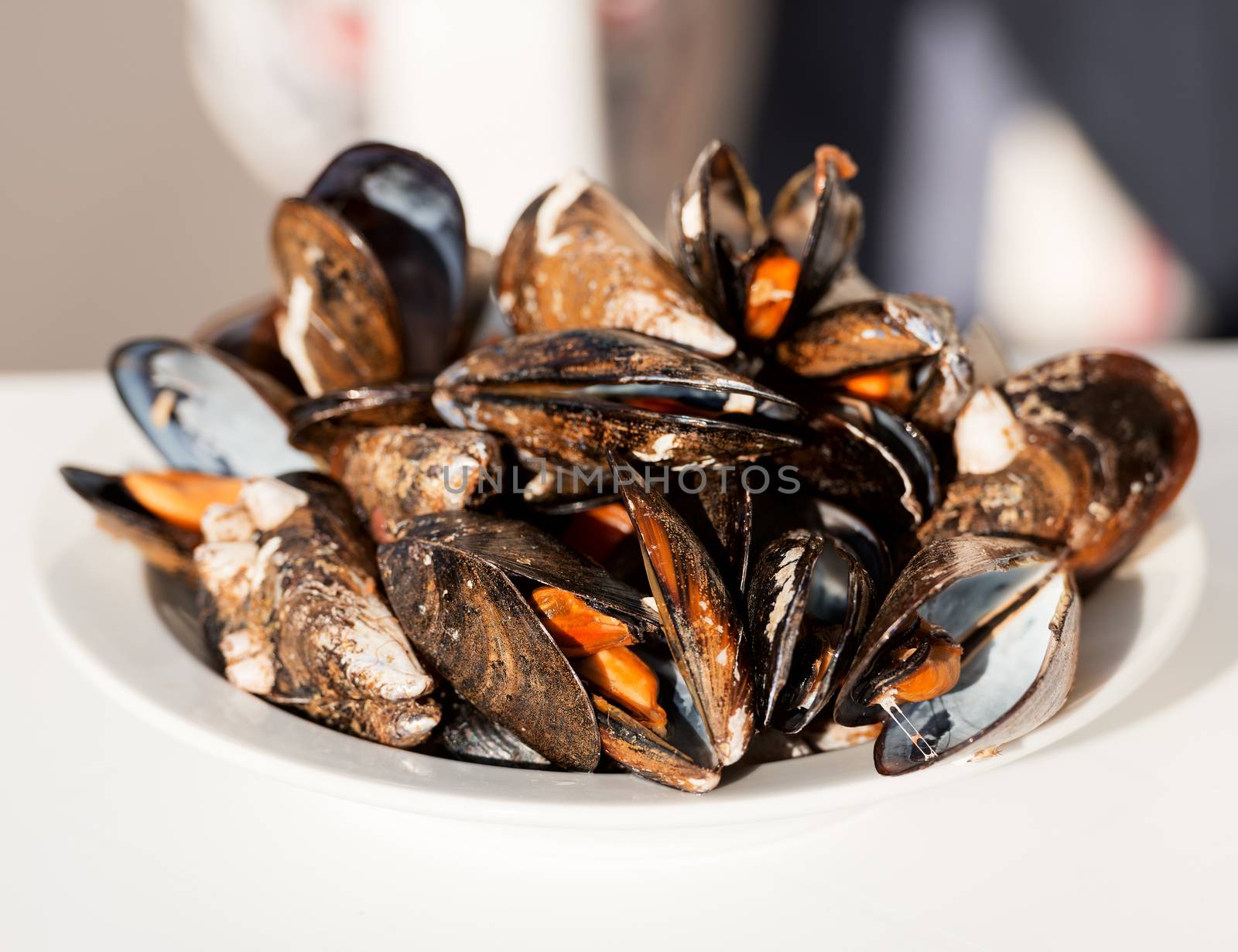 Dish of gourmet mussels garnished with fresh herbs by Nanisimova