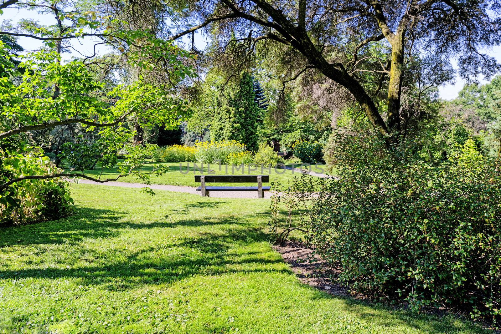 Empty wooden bench at city park by Nanisimova