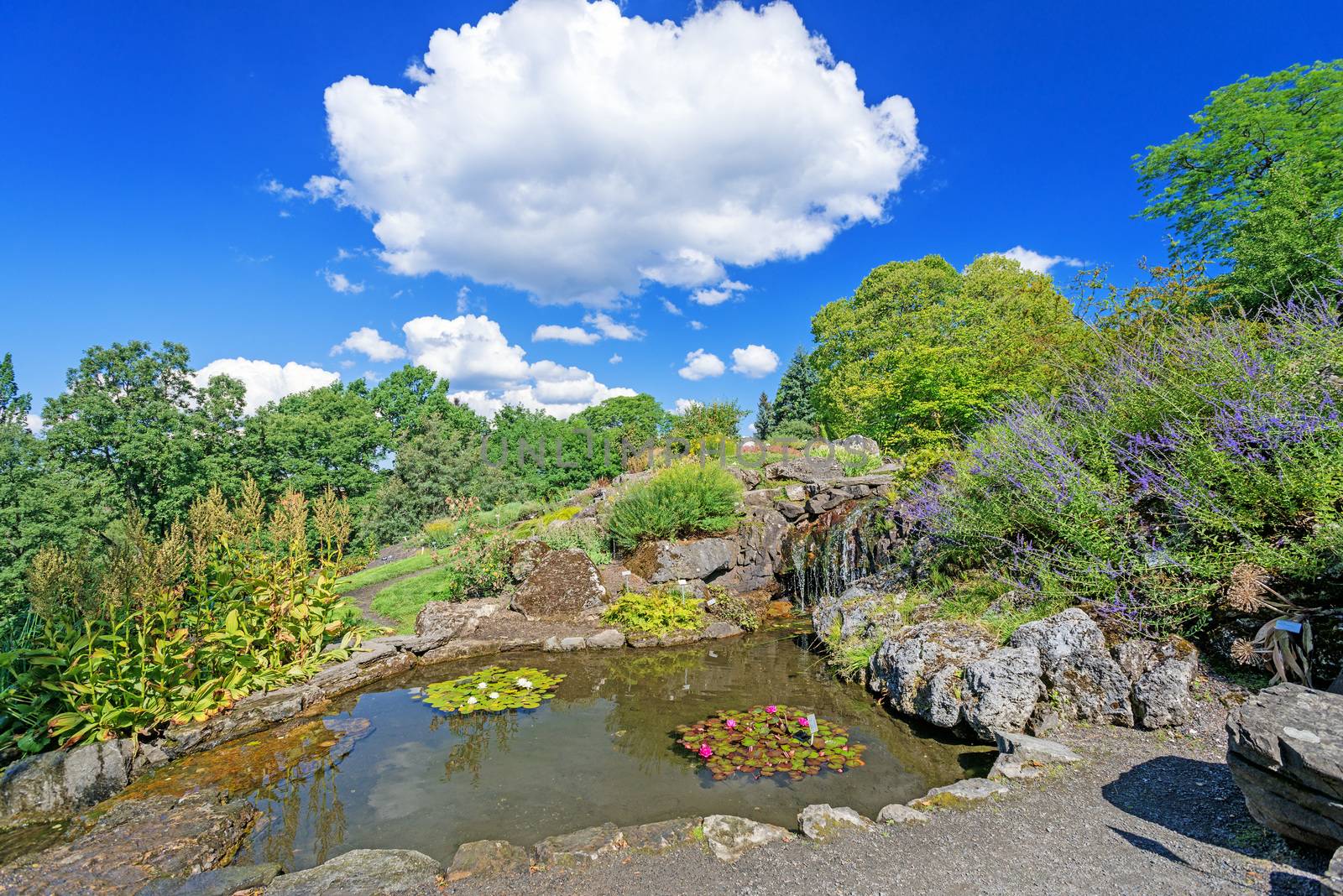 Decorative pond with waterfall and flowers at Oslo city park by Nanisimova