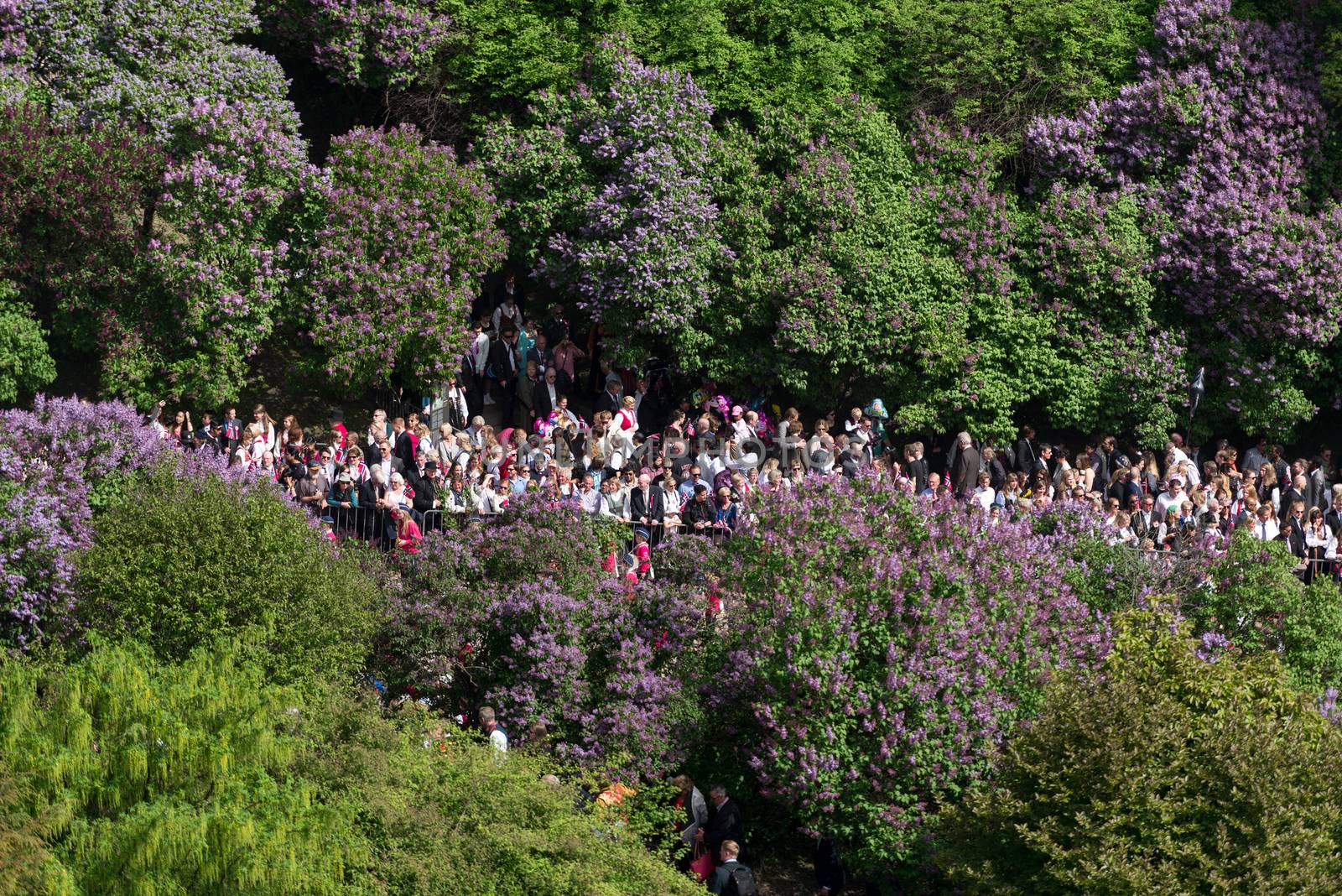 Norwegian Constitution Day crowd in park by Nanisimova