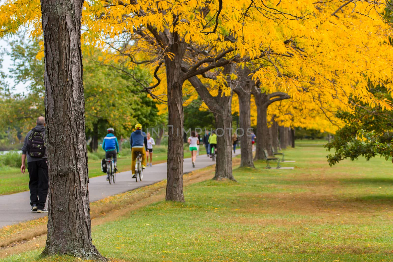 Boston in autumn, USA