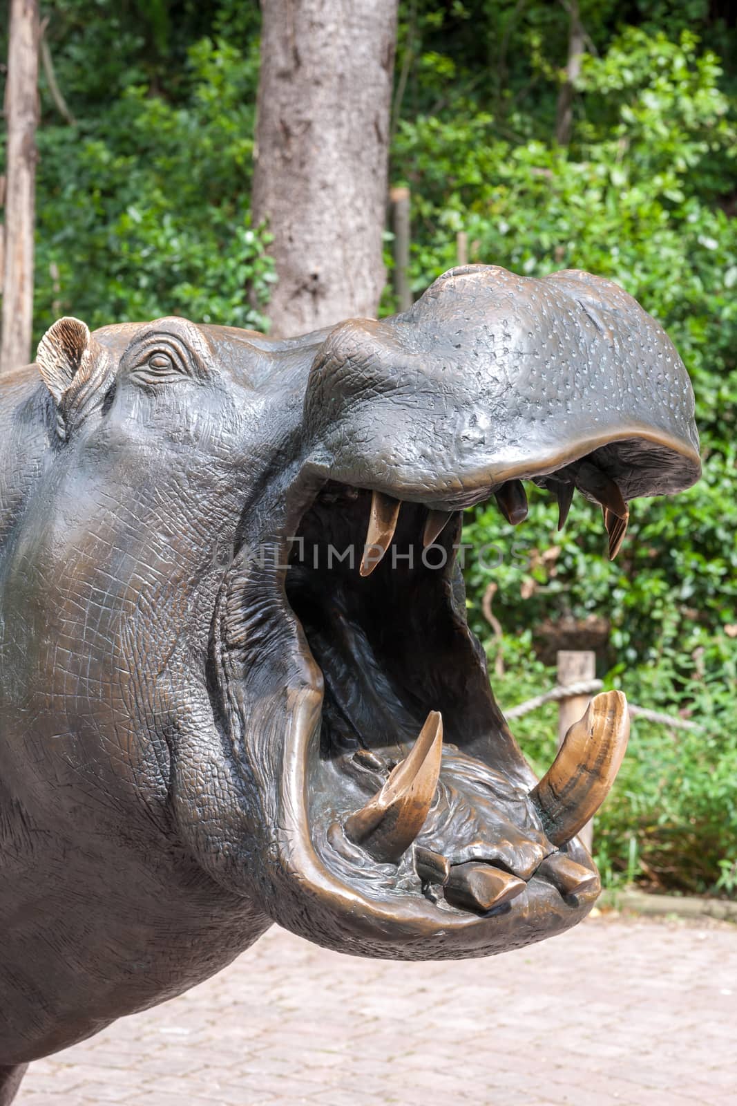 Hippopotamus showing huge jaw and teeth. sculpture at the zoo