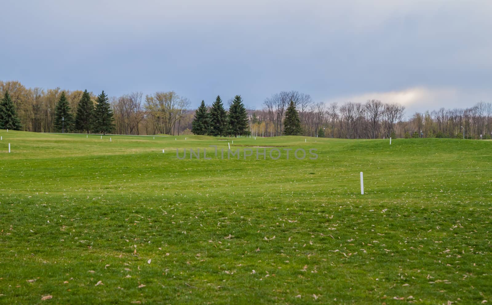 private golf field can be used as background