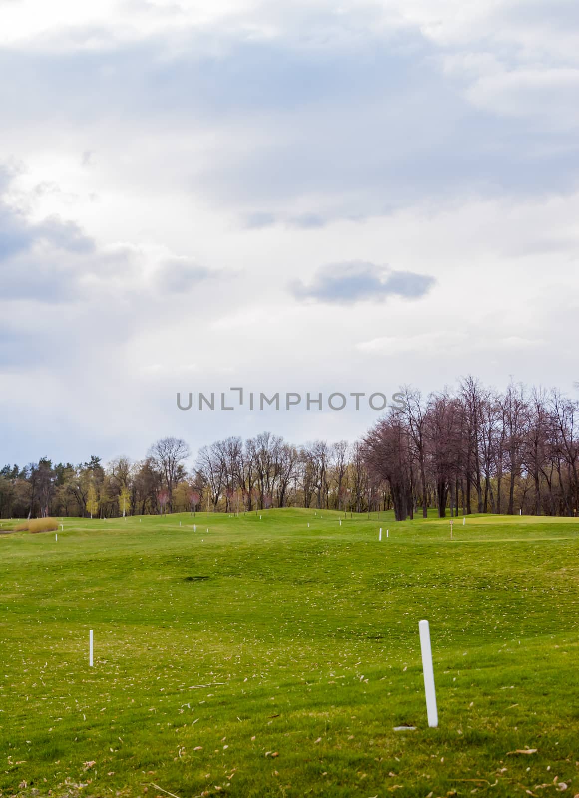 private golf field  by Chechotkin