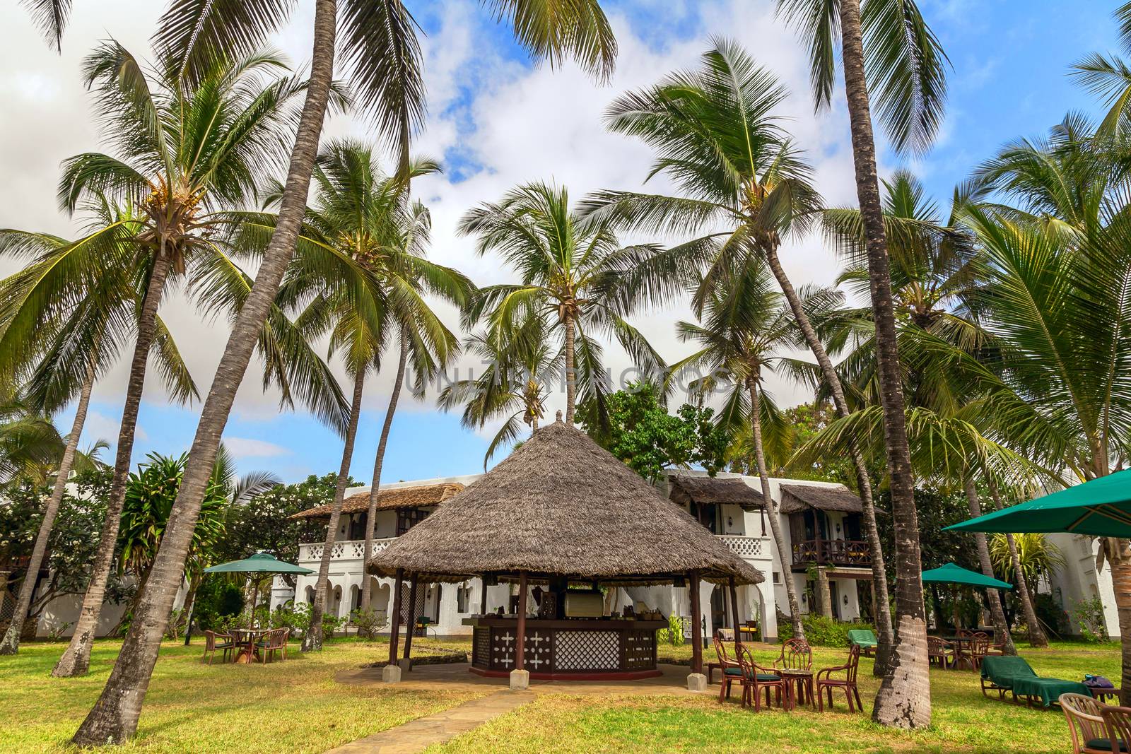 Empty sunbeds in tropical on the green grass among palm trees