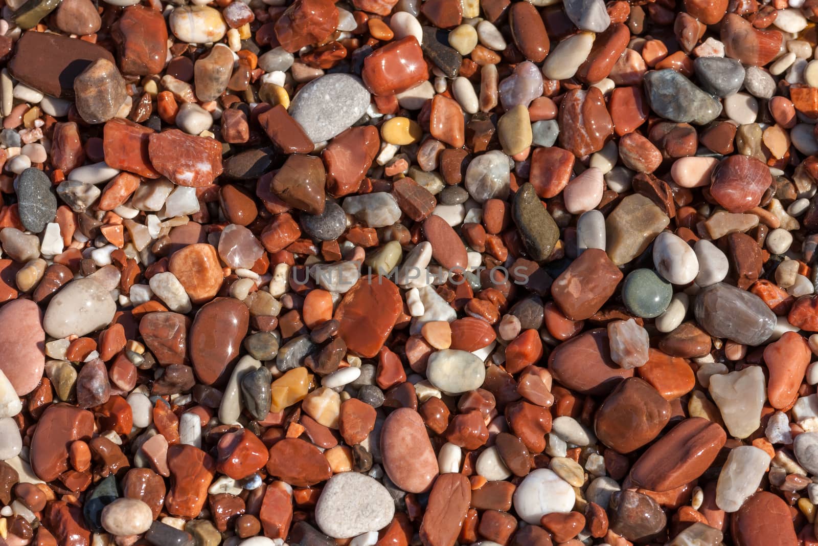 The Colorful  pebble on the beach close-up