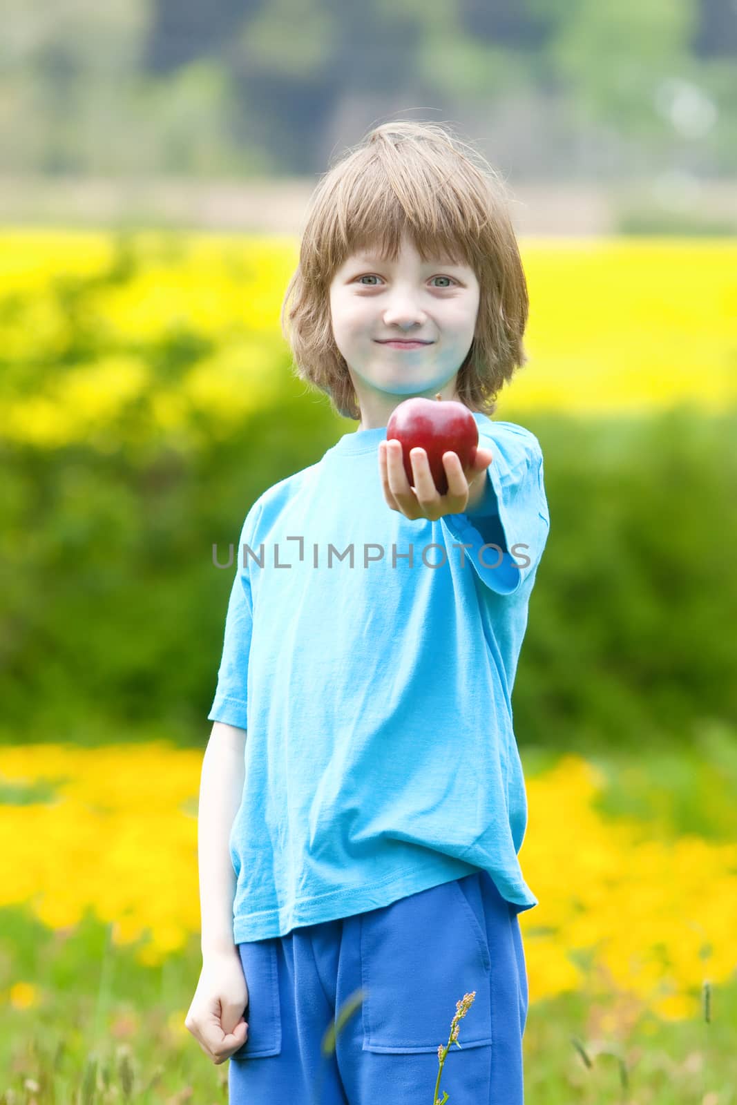 Boy Holding Red Apple in the Garden Offering