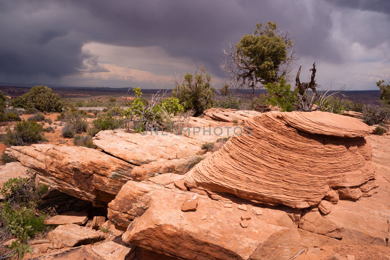 Rain Clouds Gather Over Rock Formations Utah Juniper Trees by ChrisBoswell