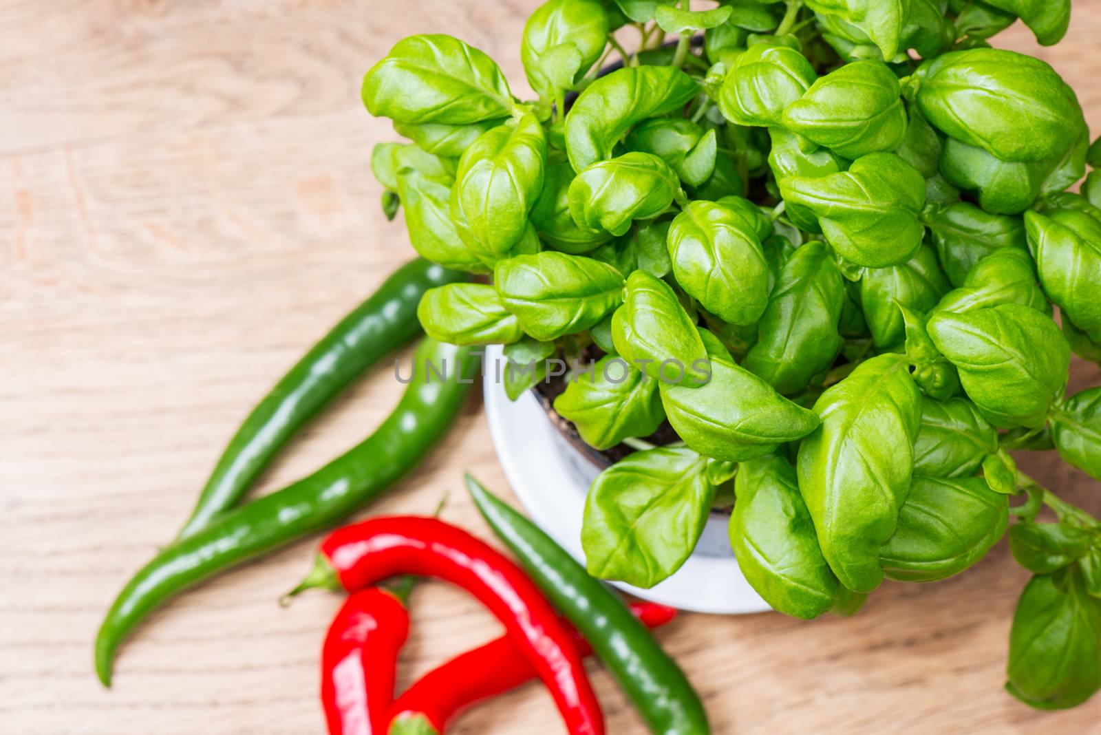 potted basil herb plant and chill peppers on wooden table