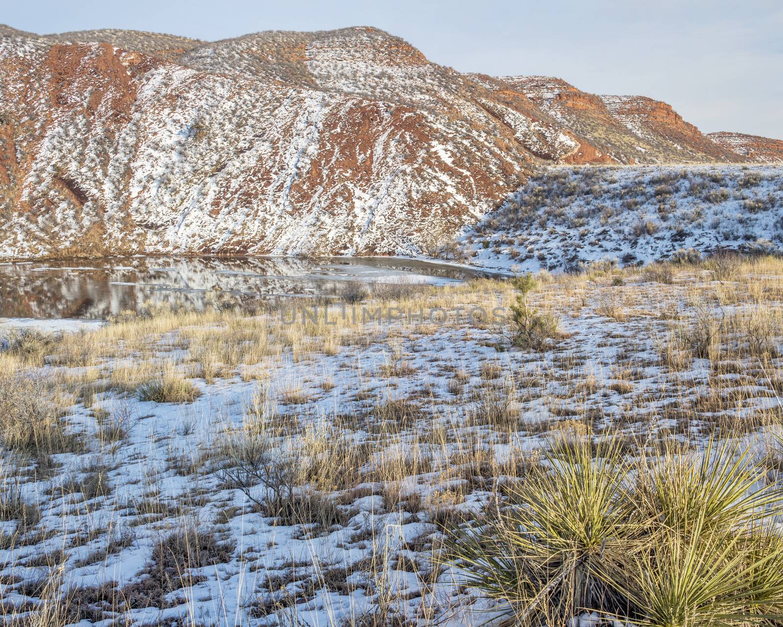 red sandstone cliffs, lake, prairie, snow, yucca - winter at Red Mountain Open Space in northern Colorado near Fort Collins