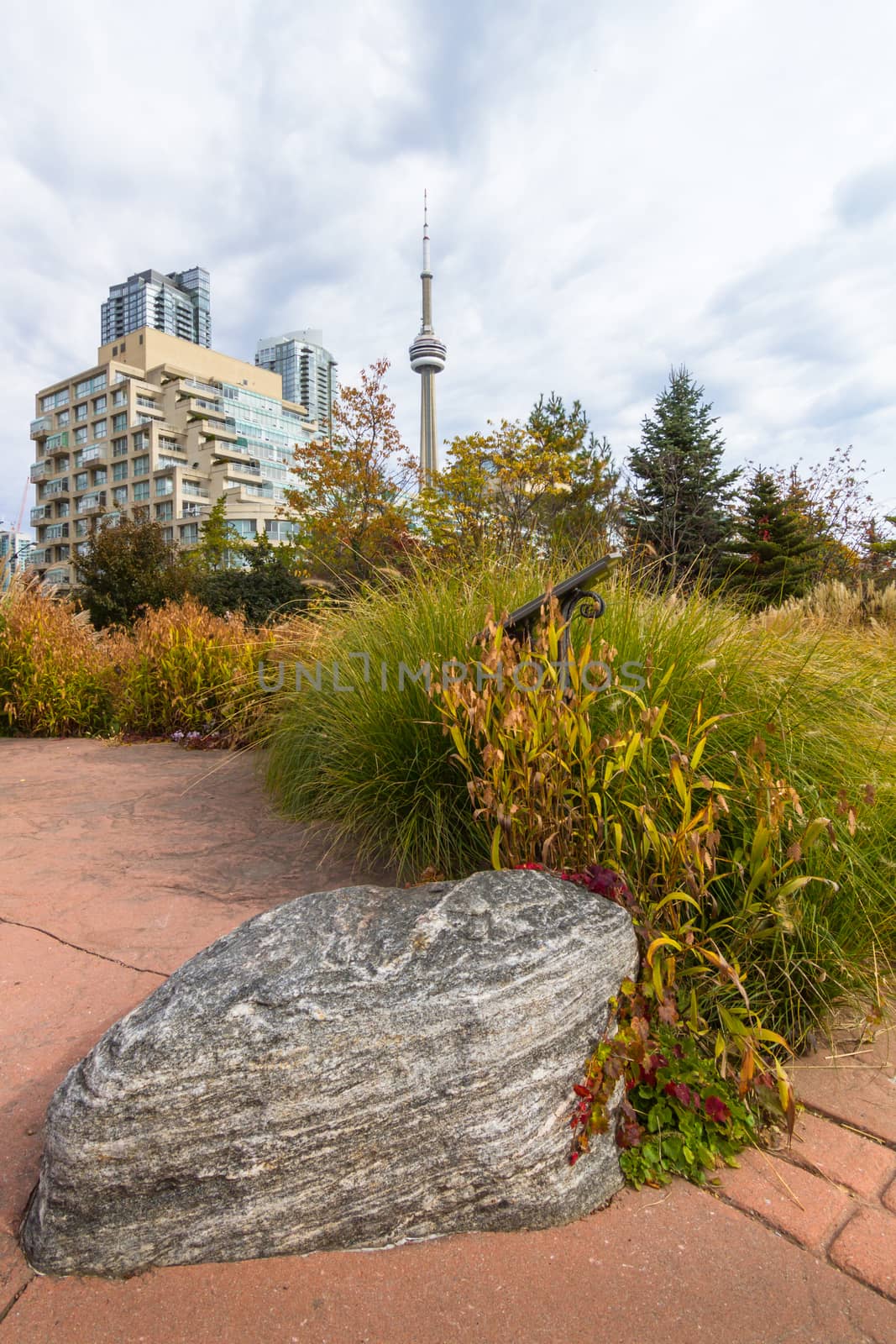 This photo was shot from Toronto city in autumn.