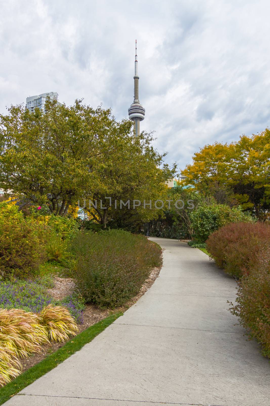 This photo was shot from snake island which is opposite to Toronto city. The leaves of trees change color.