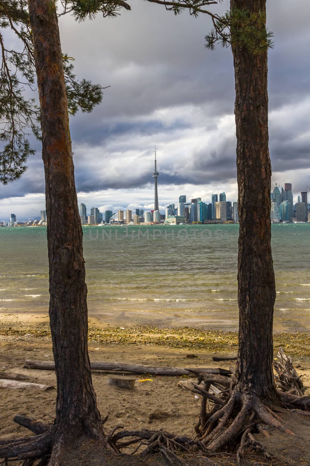 This photo was shot from snake island which is opposite to Toronto city. The leaves of trees change color.