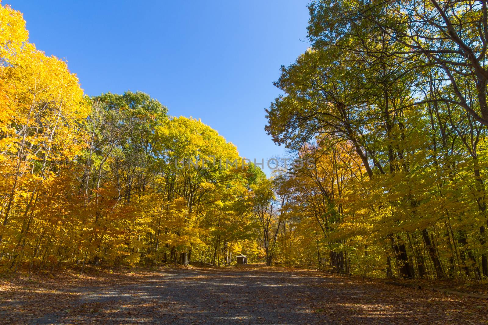 This photo was shot from Ottawa in autumn, Canada.