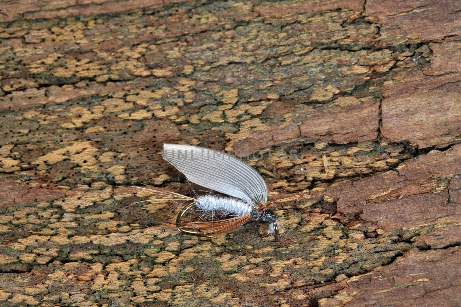 Macro photo of an artificial fly for fly fishing on a wood background. 