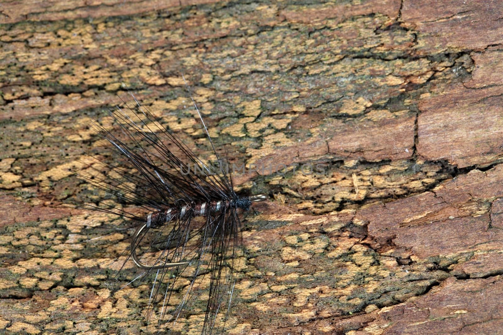 Macro photo of an artificial fly for fly fishing on a wood background. 