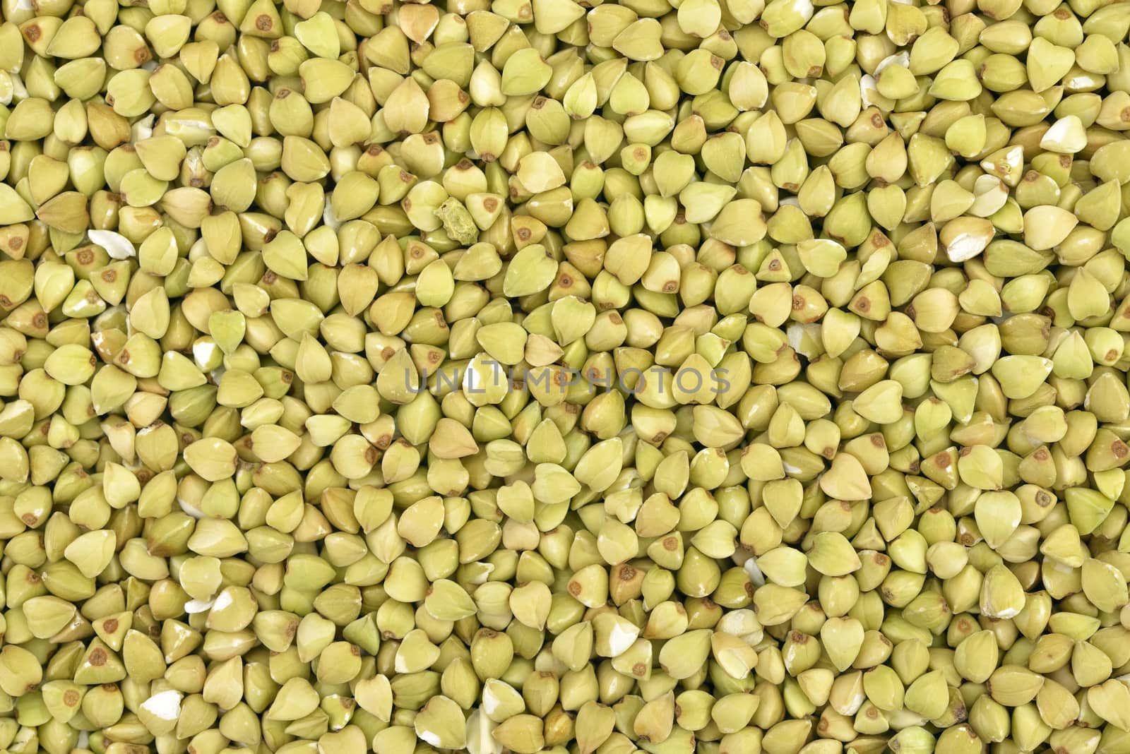 Close-up of  buckwheat  seeds to use as background 