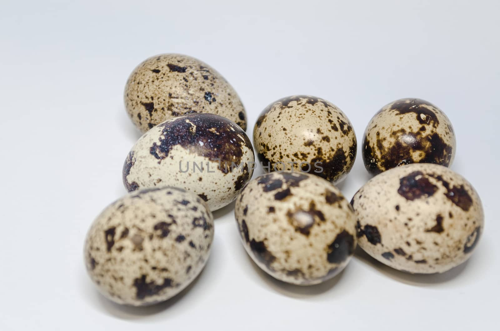 Seven brown white patterned quail eggs.