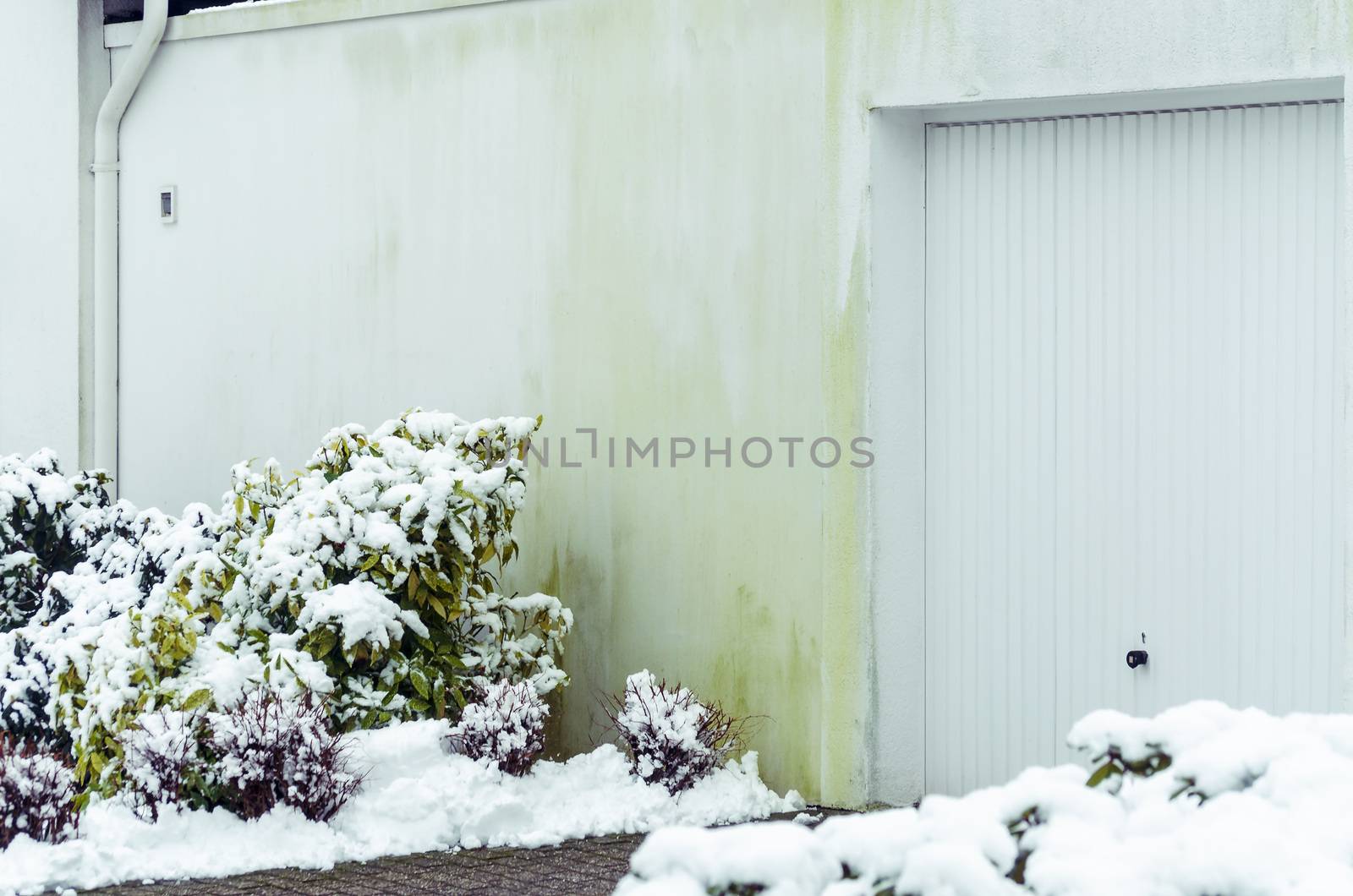 Algae on house wall by caused  insulation