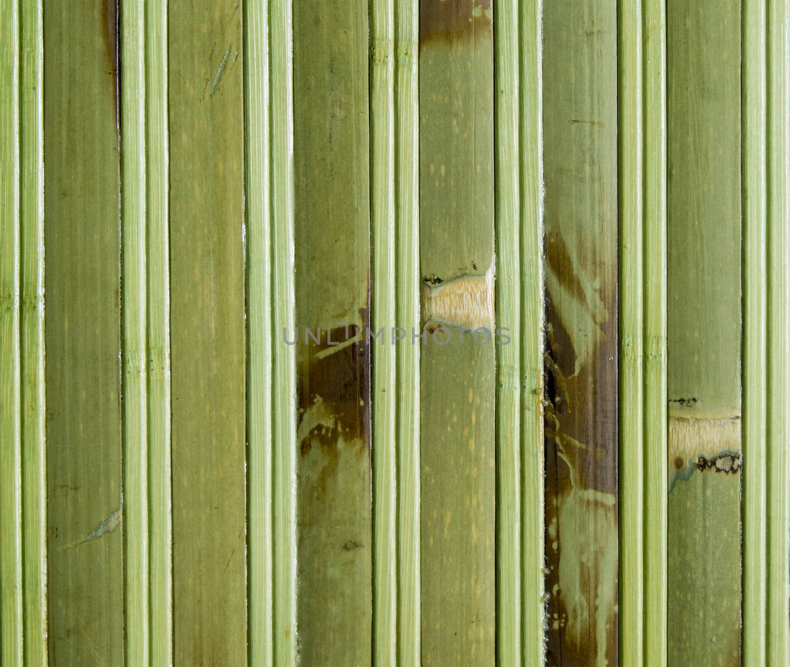 bamboo by serhii_lohvyniuk