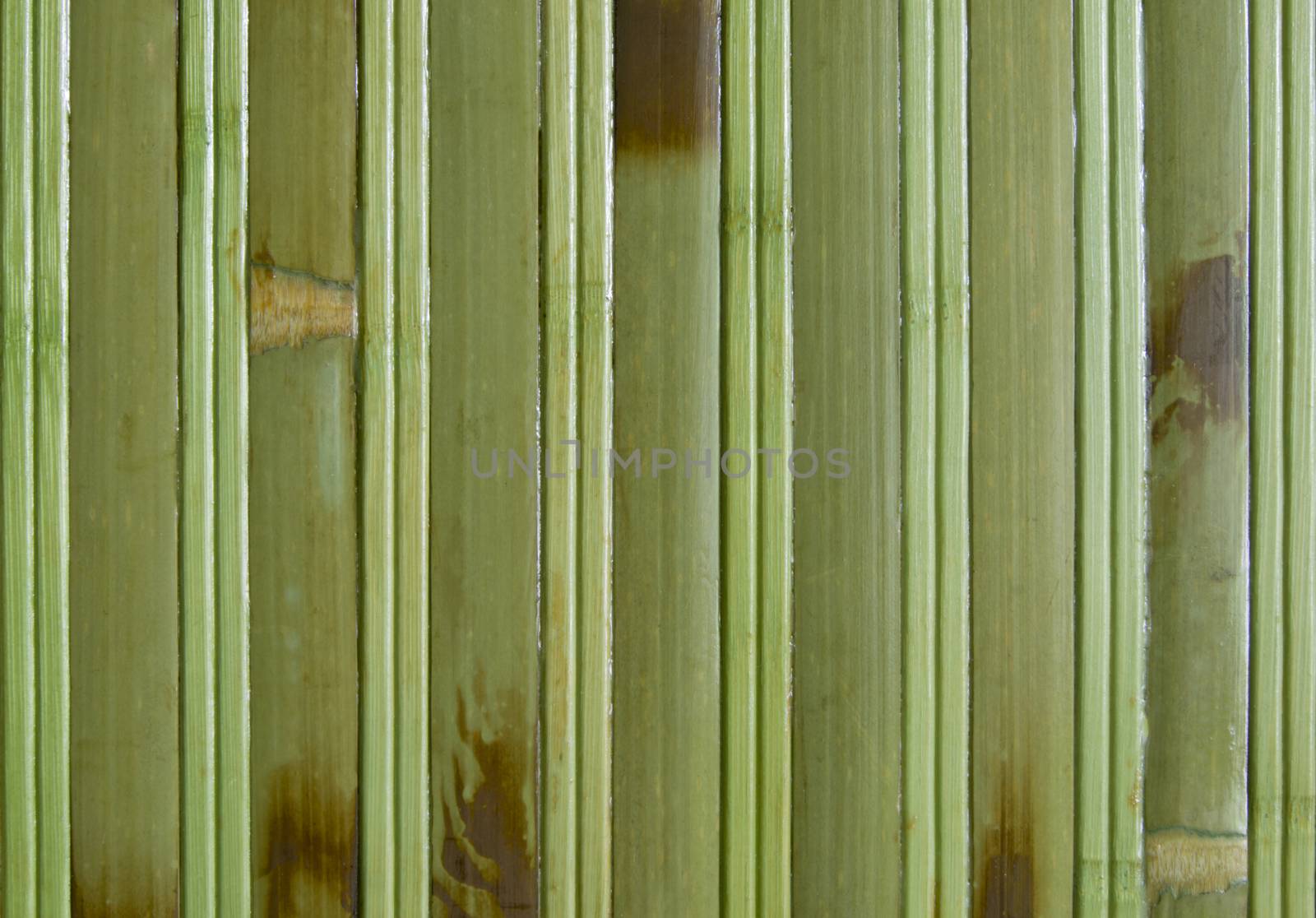 bamboo by serhii_lohvyniuk
