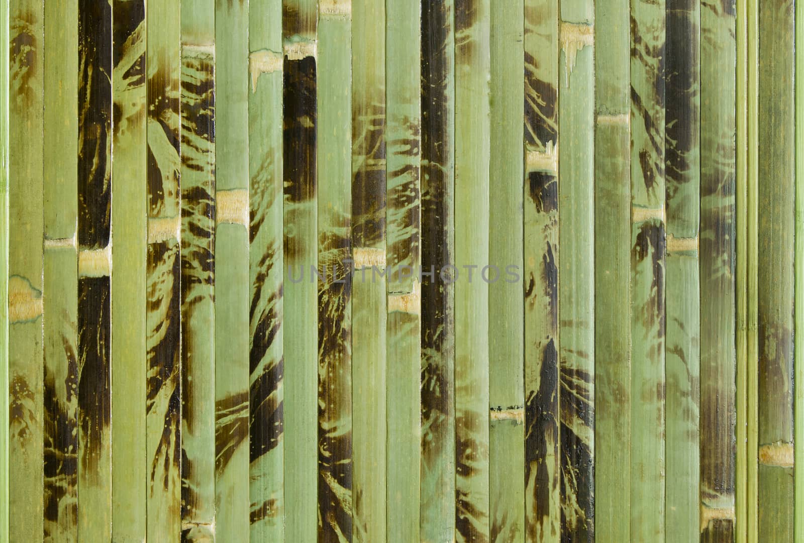 bamboo by serhii_lohvyniuk