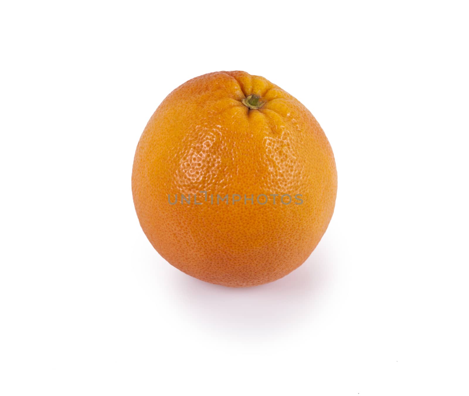 grapefruit Isolated on white background with space for text