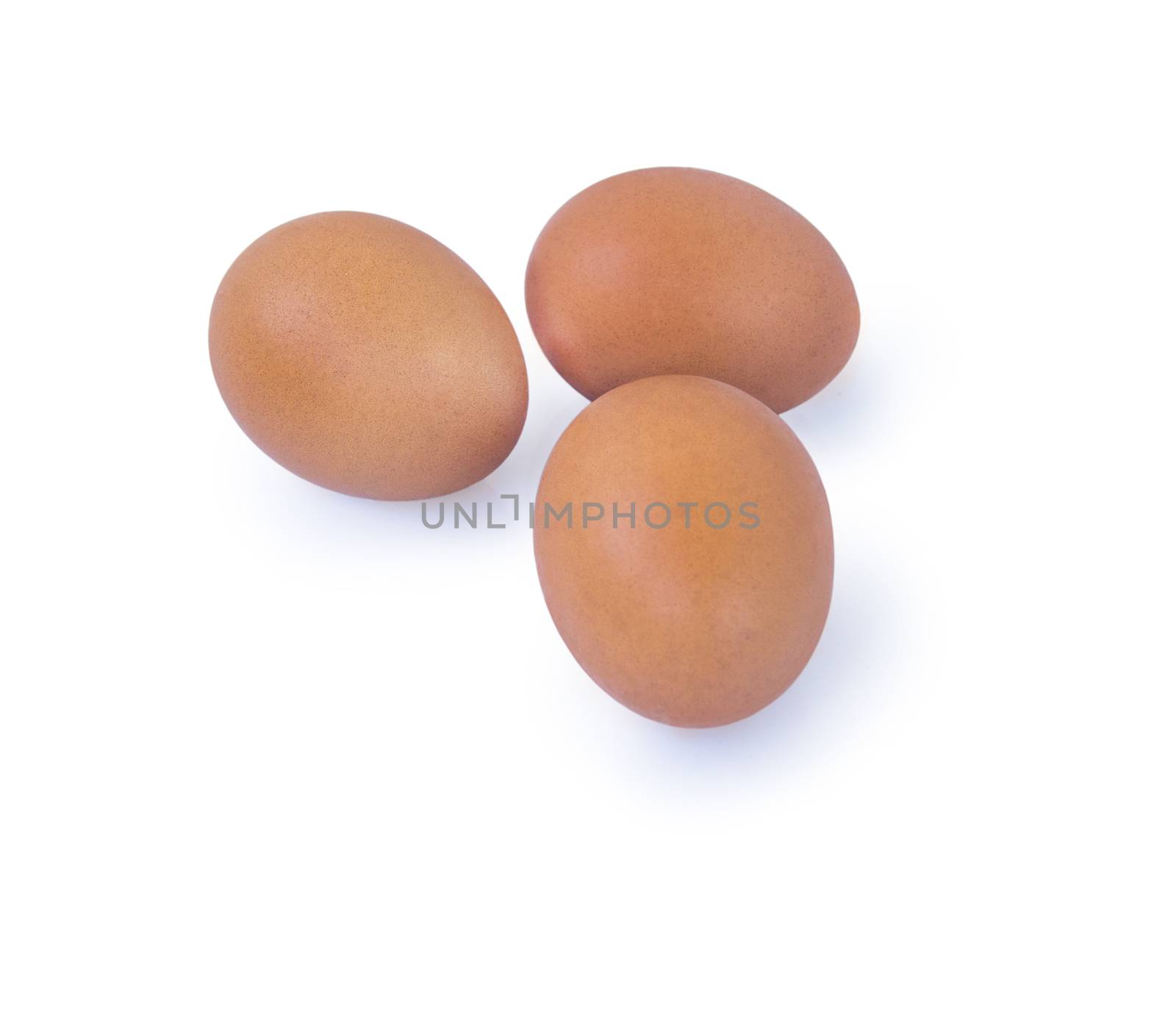 eggs. For your commercial and editorial use. by serhii_lohvyniuk