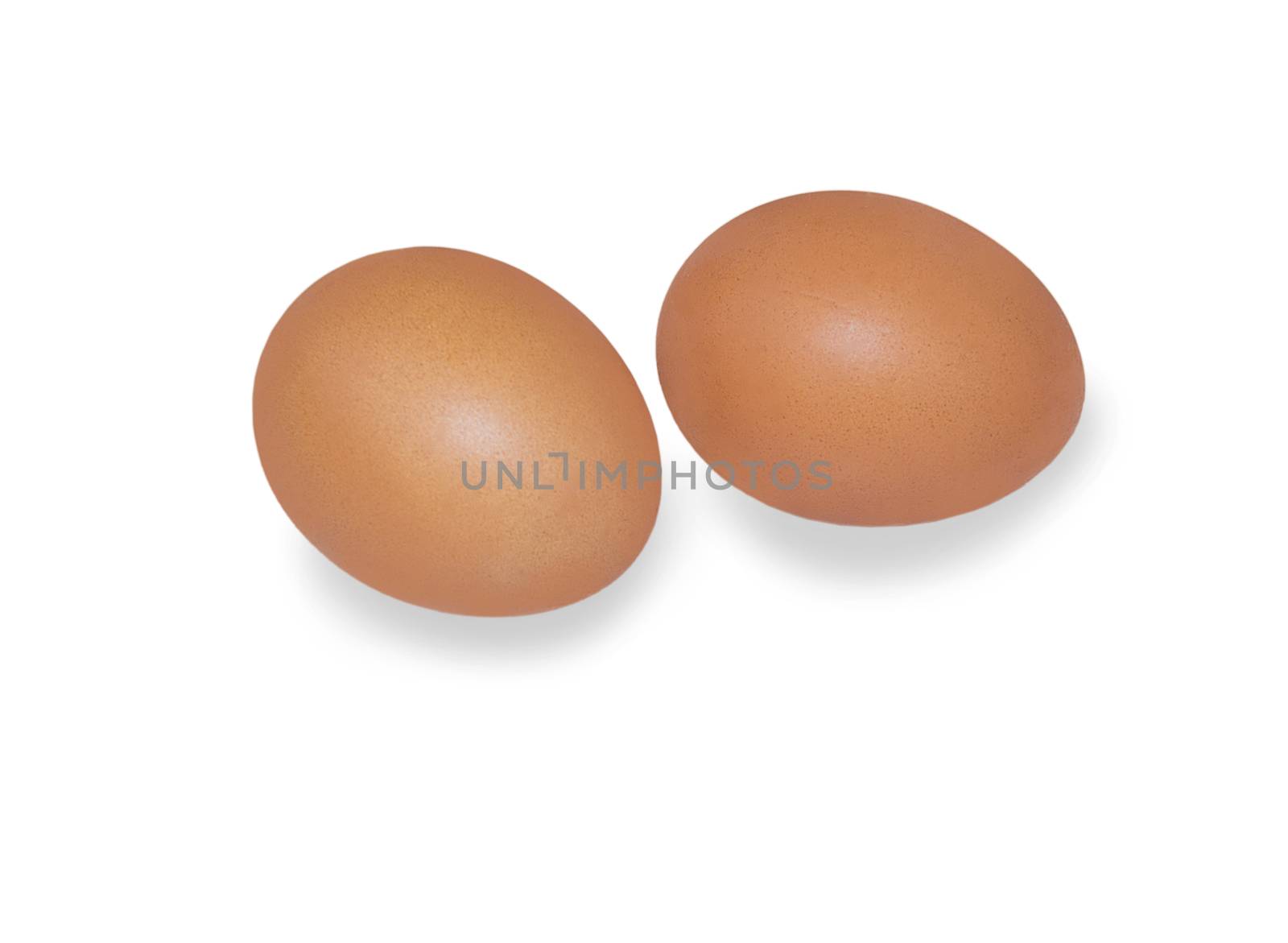 eggs. For your commercial and editorial use