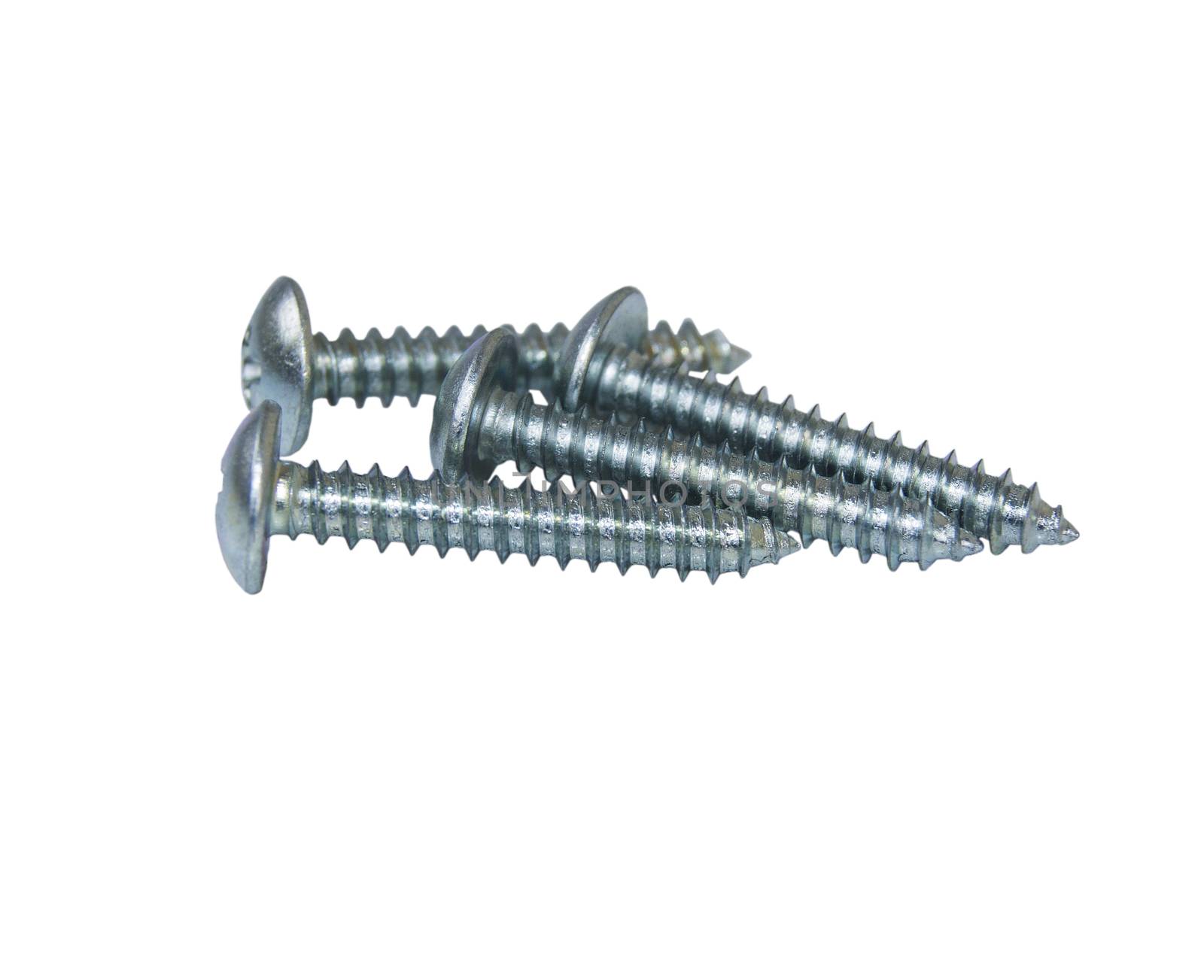 screws. For your commercial and editorial use. by serhii_lohvyniuk