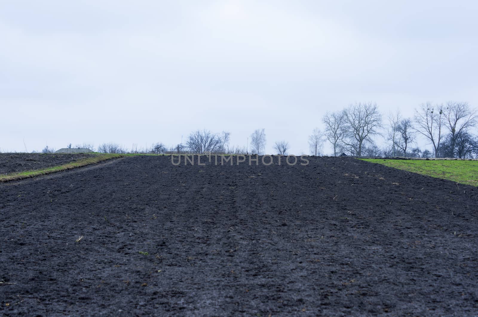 Country Landscape. For your commercial and editorial use by serhii_lohvyniuk