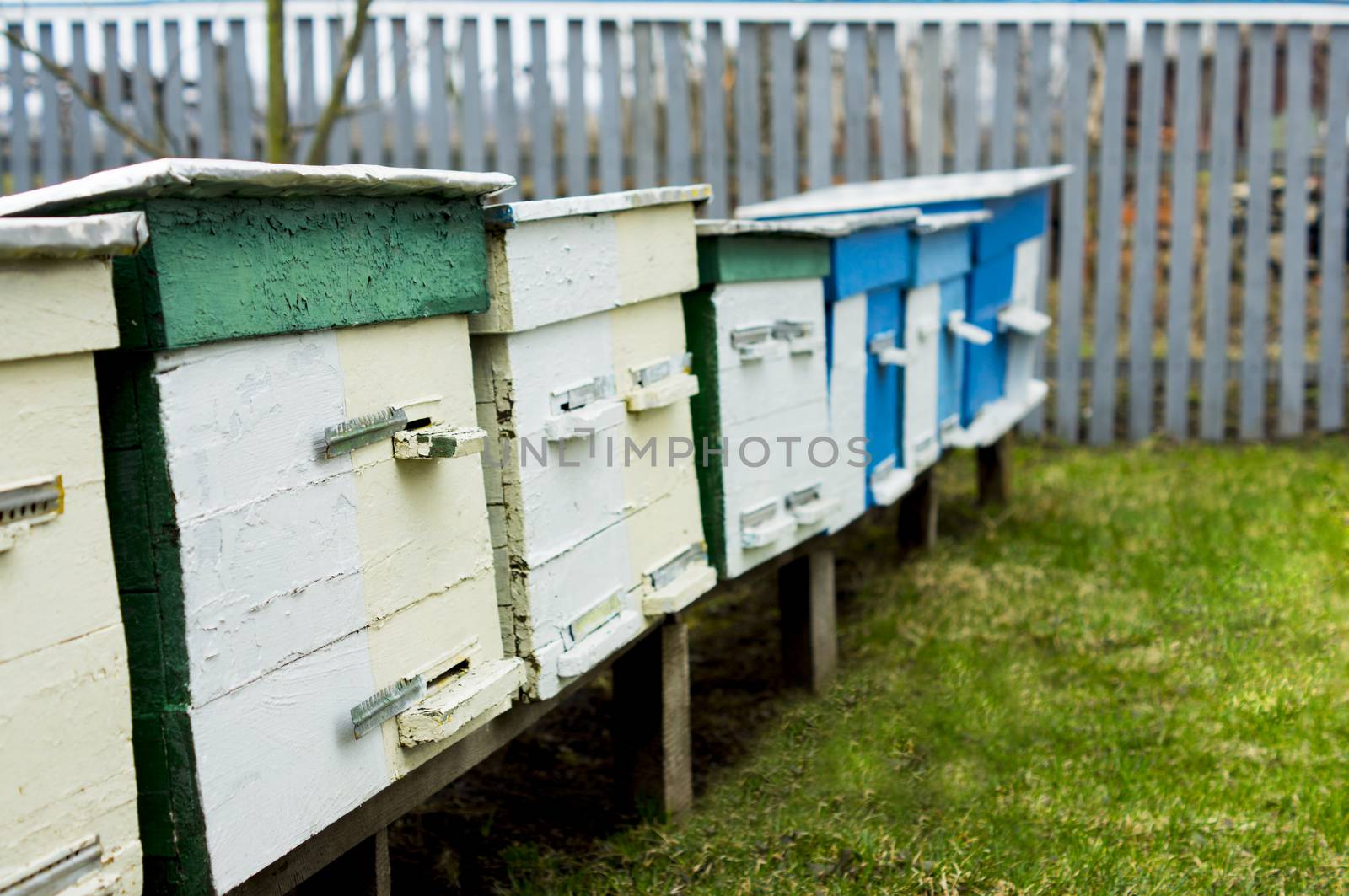 apiary. For your commercial and editorial use. by serhii_lohvyniuk